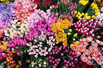 组一辈子乐队！ 《明日方舟》发布《Ave Mujica》联动PV“无忧梦呓”