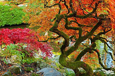 《死亡岛2》游戏环境与现实环境视频对比